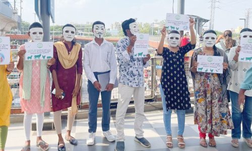 WhatsApp Image 2025-06-06 at 17.35.03