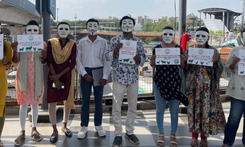 WhatsApp Image 2025-06-27 at 11.33.40