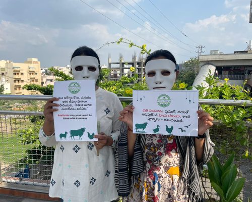 WhatsApp Image 2025-06-27 at 11.33.41 (1)