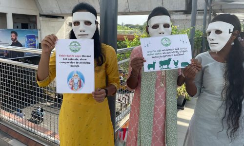 WhatsApp Image 2025-06-27 at 11.33.41