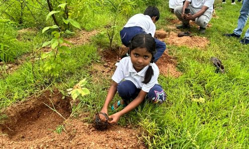 WhatsApp Image 2025-07-25 at 19.50.05 (2)